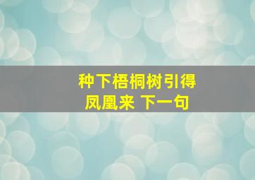 种下梧桐树引得凤凰来 下一句